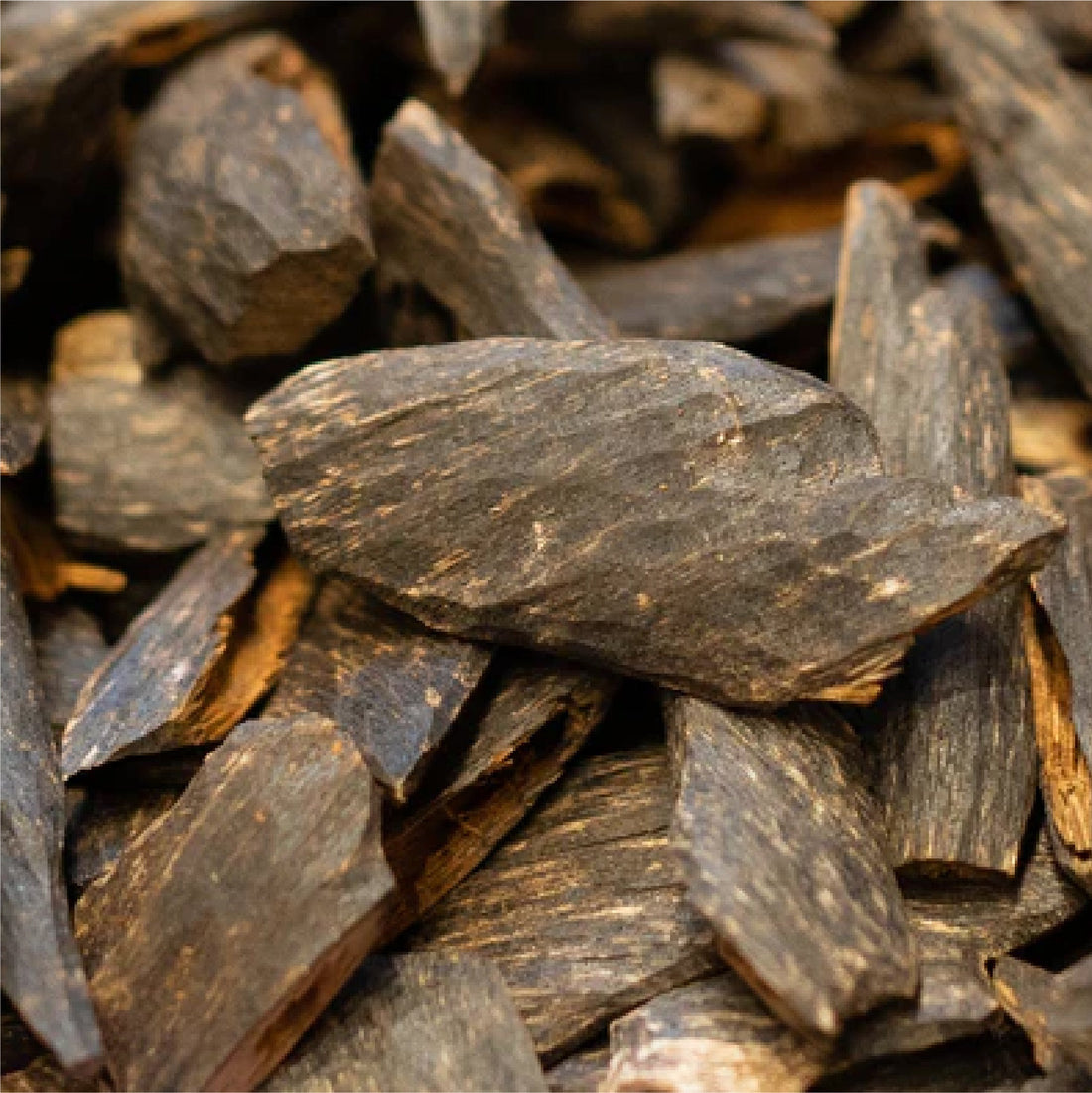 Arabian oud scent